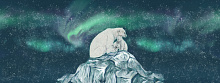 Factura FAUNA UMKA 4